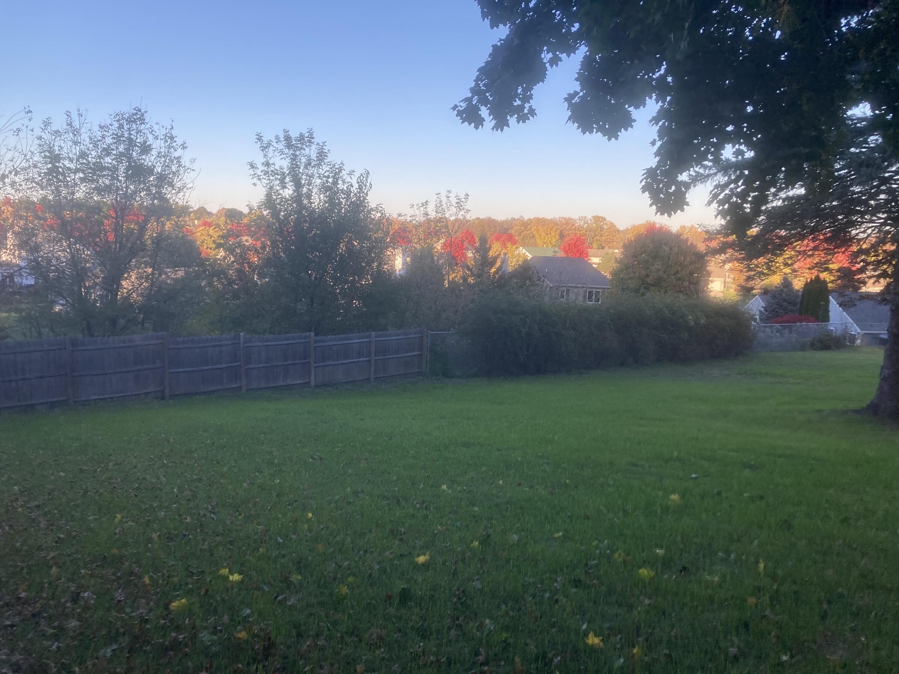 W234N7604 Woodside Road Sussex, WI 53089 - Photo 39 of 54 Fall backyard