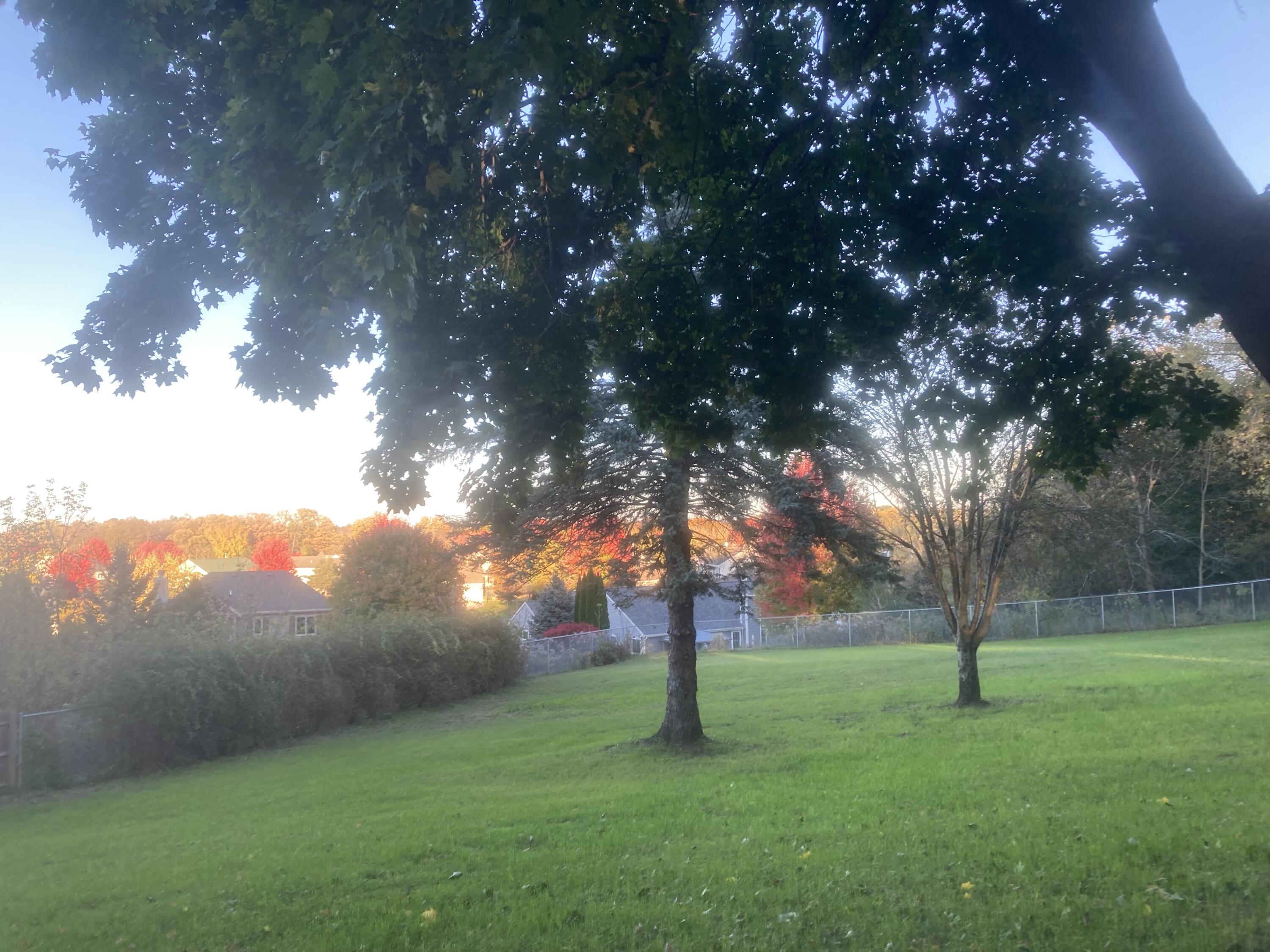 W234N7604 Woodside Road Sussex, WI 53089 - Photo 4 of 54 Backyard