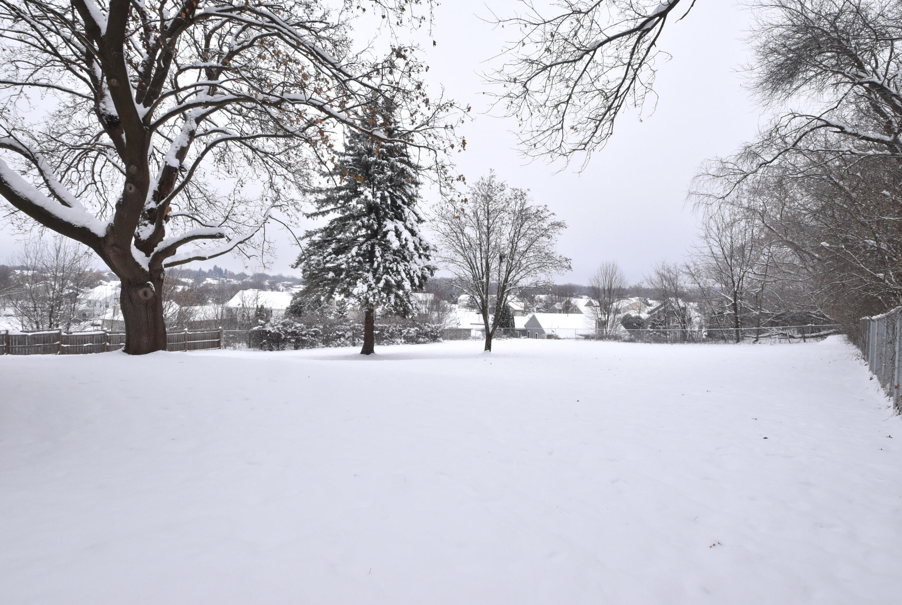 W234N7604 Woodside Road Sussex, WI 53089 - Photo 41 of 54 Backyard