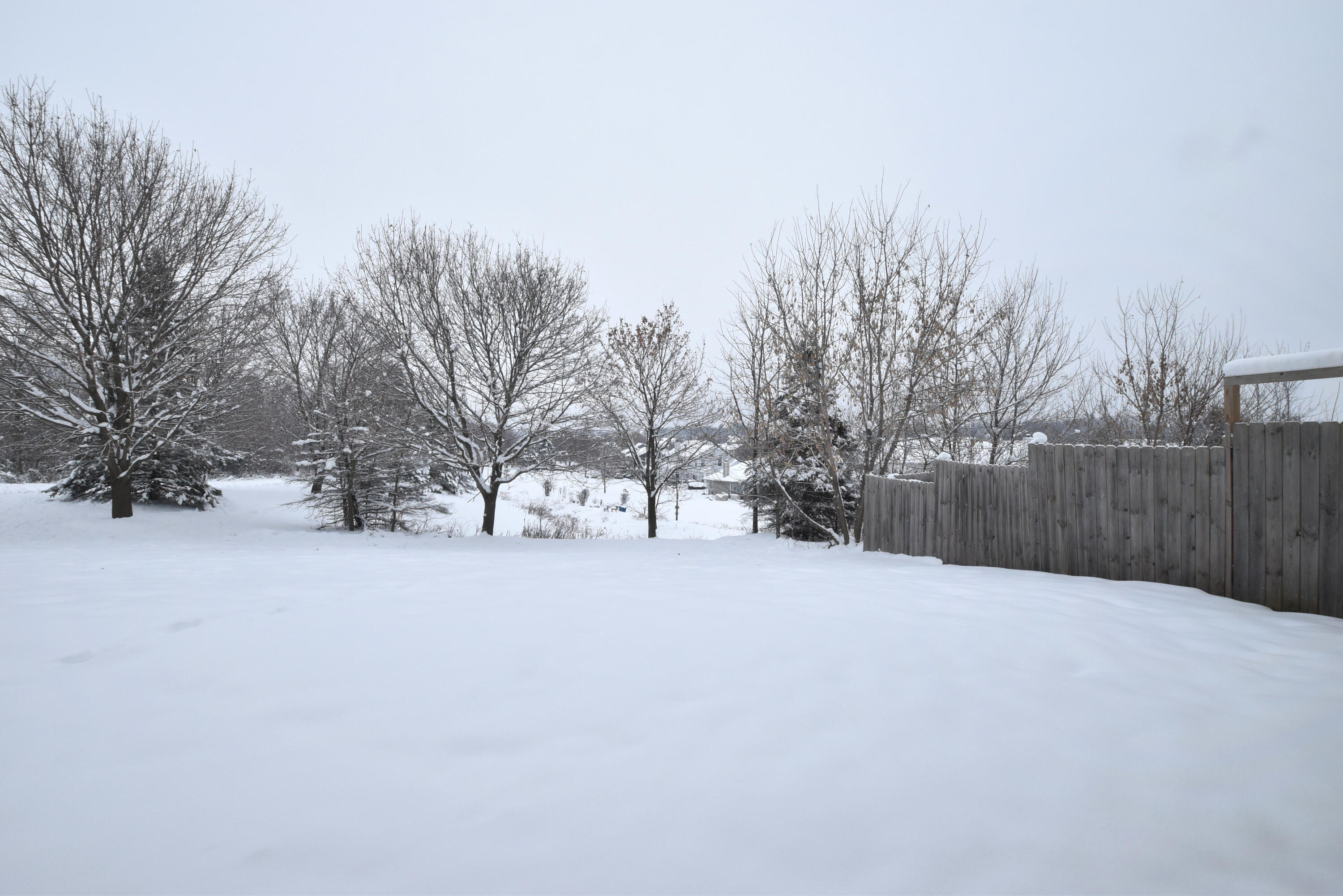W234N7604 Woodside Road Sussex, WI 53089 - Photo 42 of 54 Backyard