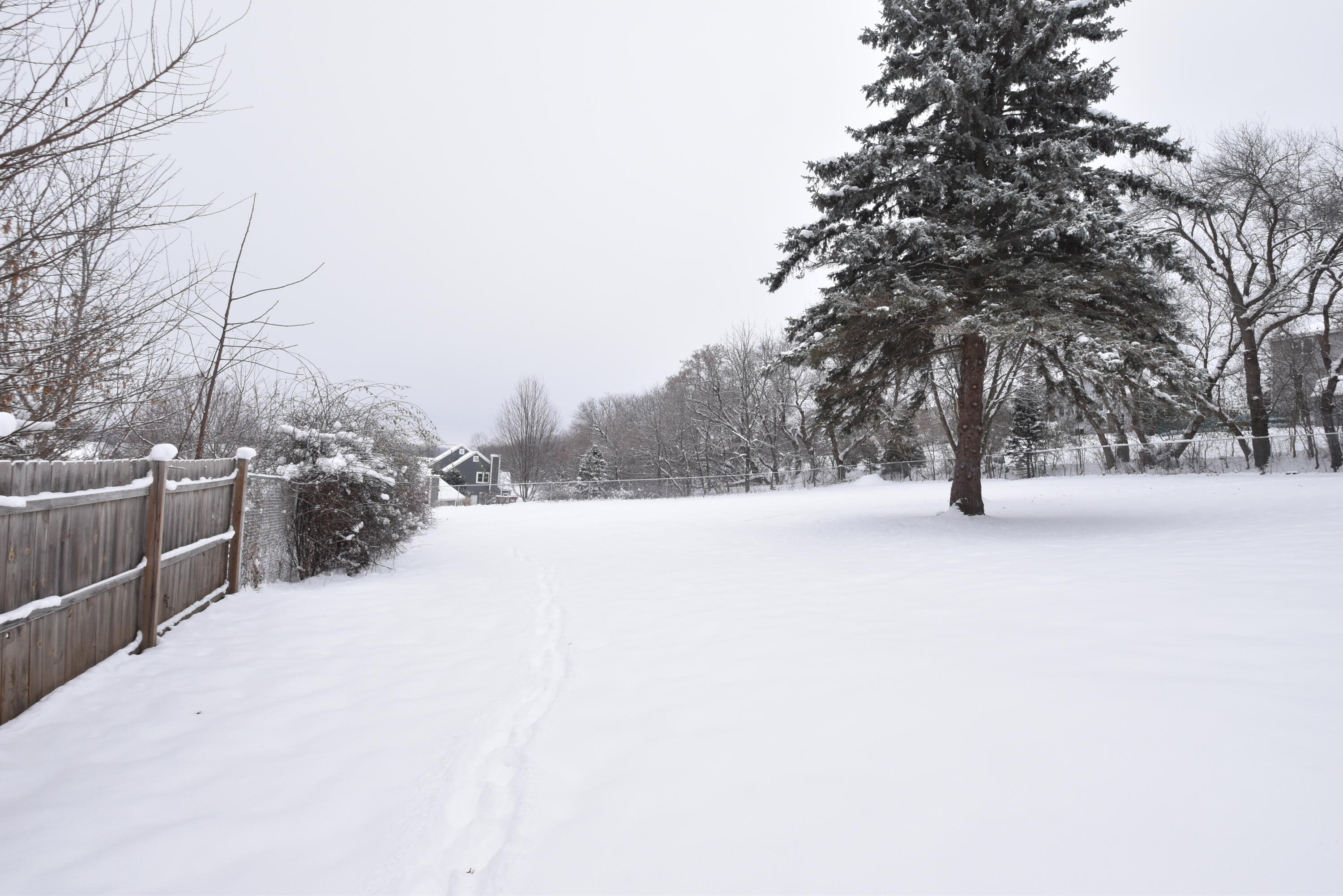 W234N7604 Woodside Road Sussex, WI 53089 - Photo 43 of 54 Backyard