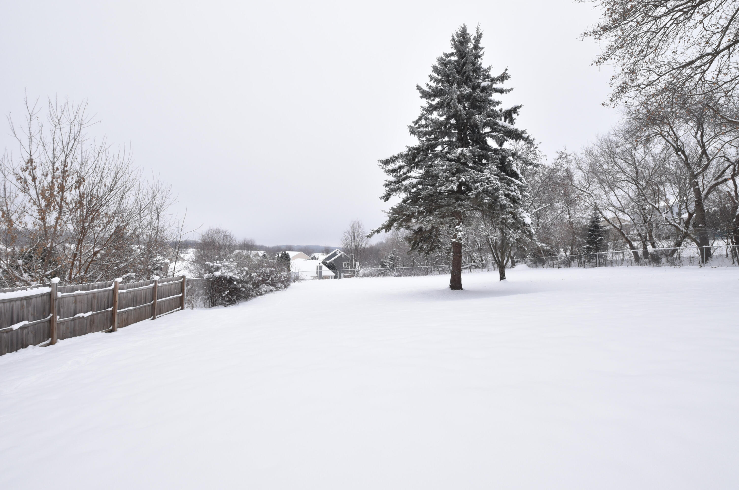W234N7604 Woodside Road Sussex, WI 53089 - Photo 44 of 54 Backyard