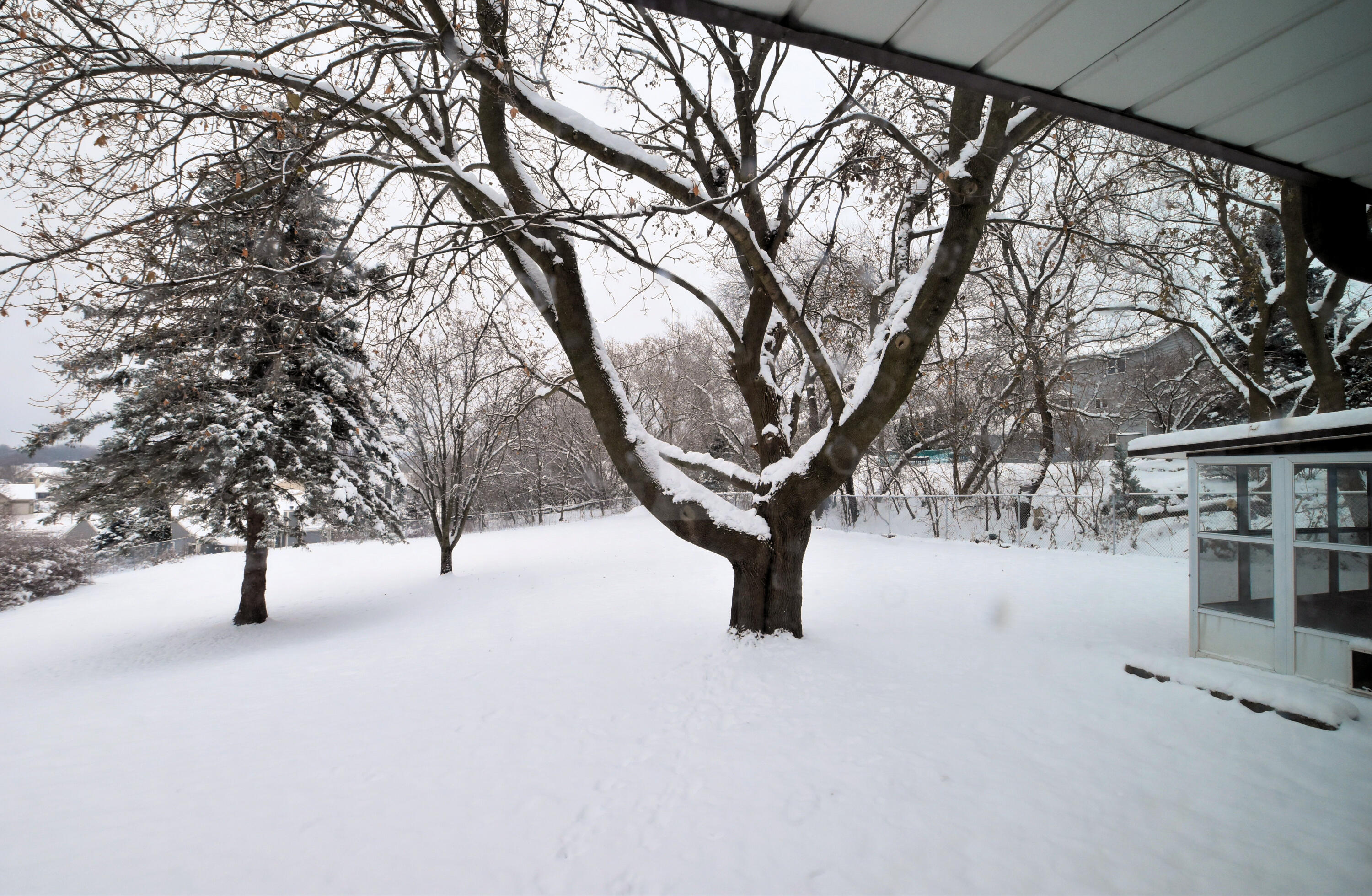 W234N7604 Woodside Road Sussex, WI 53089 - Photo 45 of 54 Backyard