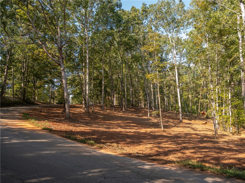 1 Gibson Road Anderson, SC 29625 - Photo 12 of 15