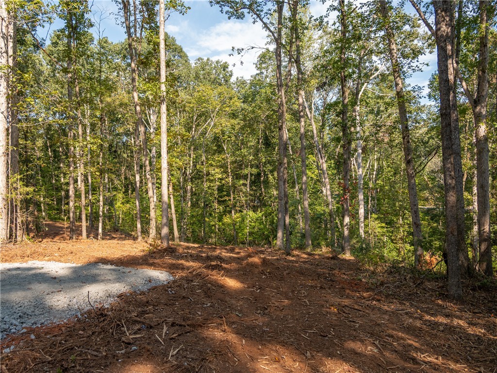 1 Gibson Road Anderson, SC 29625 - Photo 3 of 15