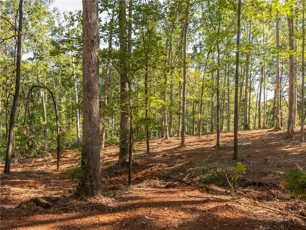 1 Gibson Road Anderson, SC 29625 - Photo 4 of 15