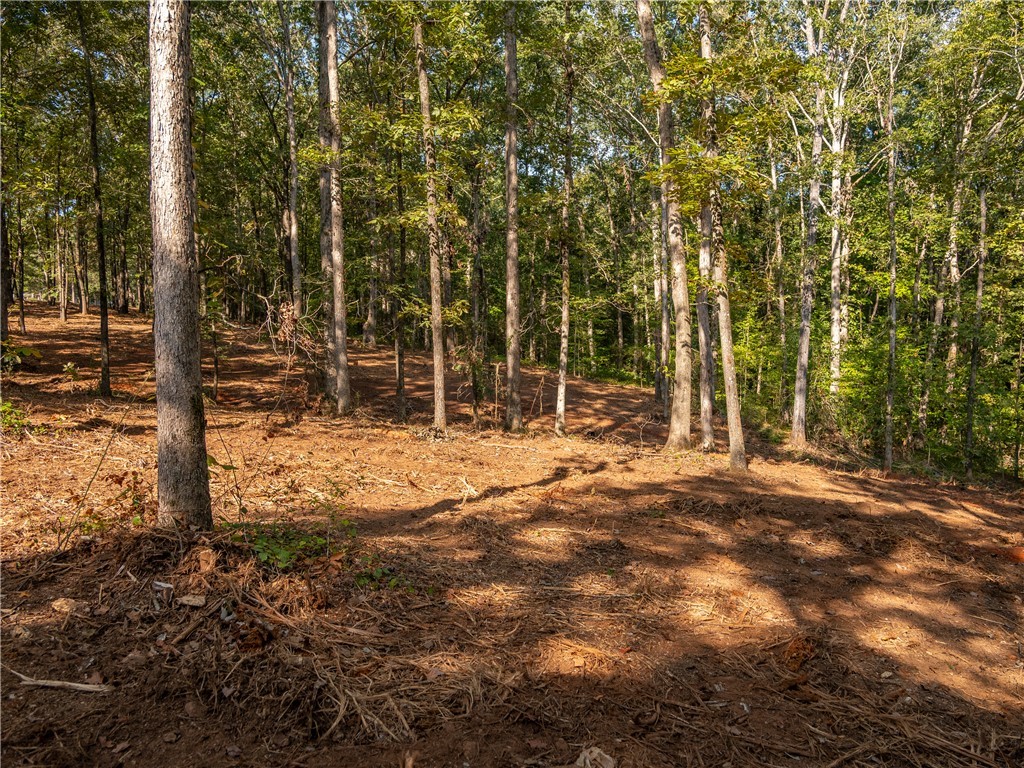 1 Gibson Road Anderson, SC 29625 - Photo 5 of 15