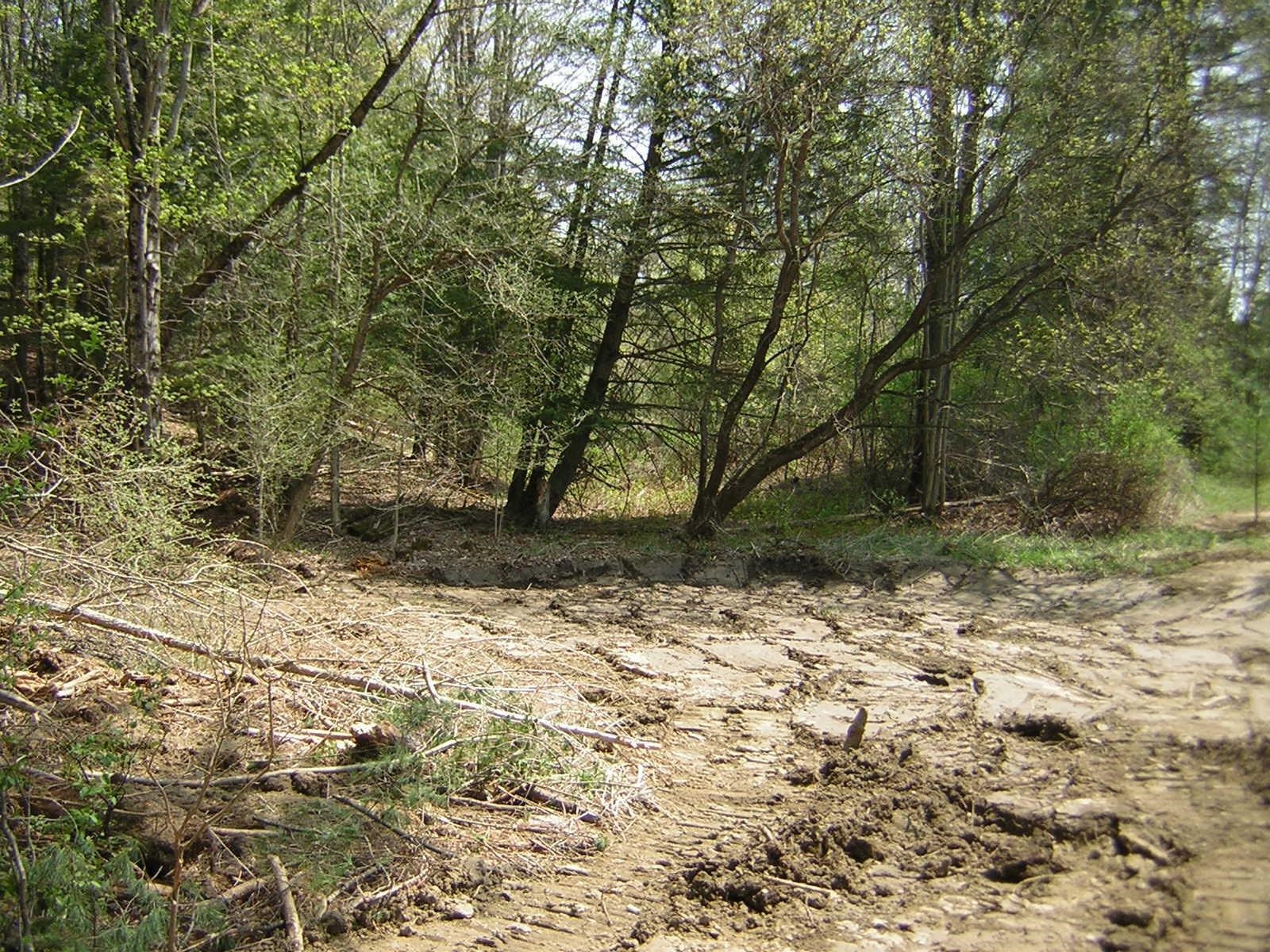 Lot 15 Collins Hill Road, Unit LOT 15A Johnson, VT 05656 - Photo 11 of 16 Gallery Image 11