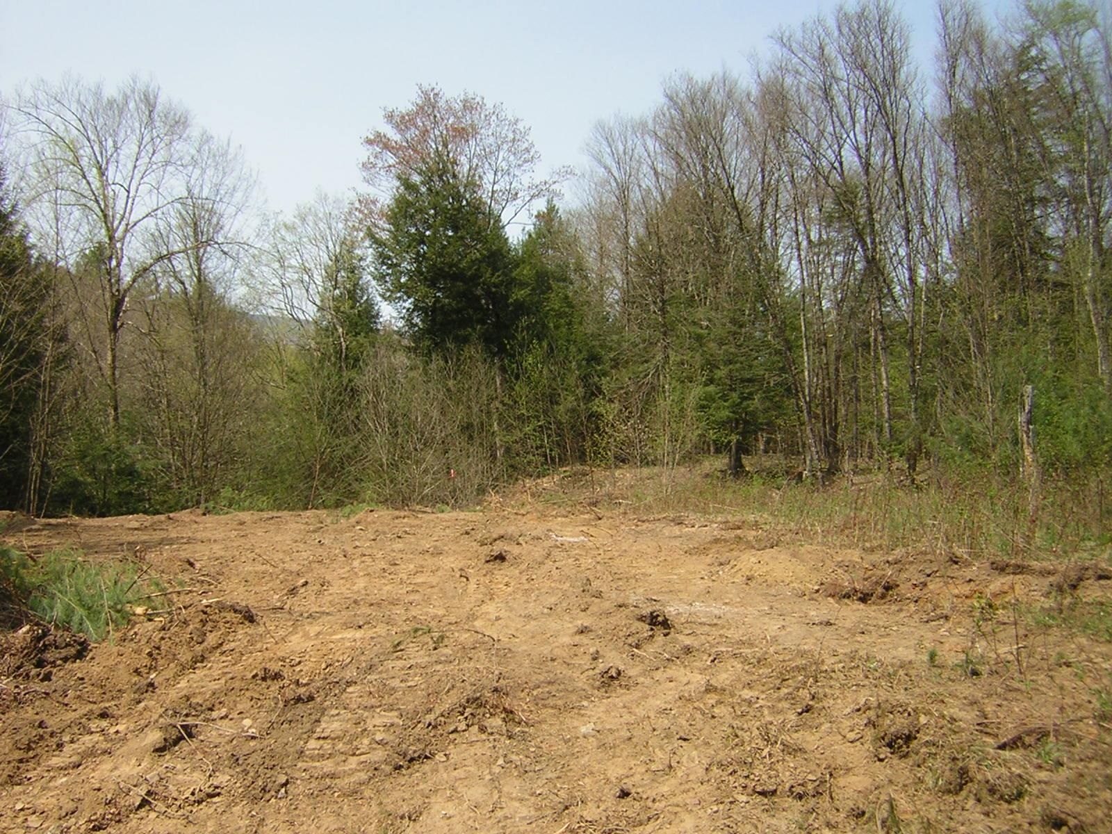 Lot 15 Collins Hill Road, Unit LOT 15A Johnson, VT 05656 - Photo 14 of 16 Gallery Image 14