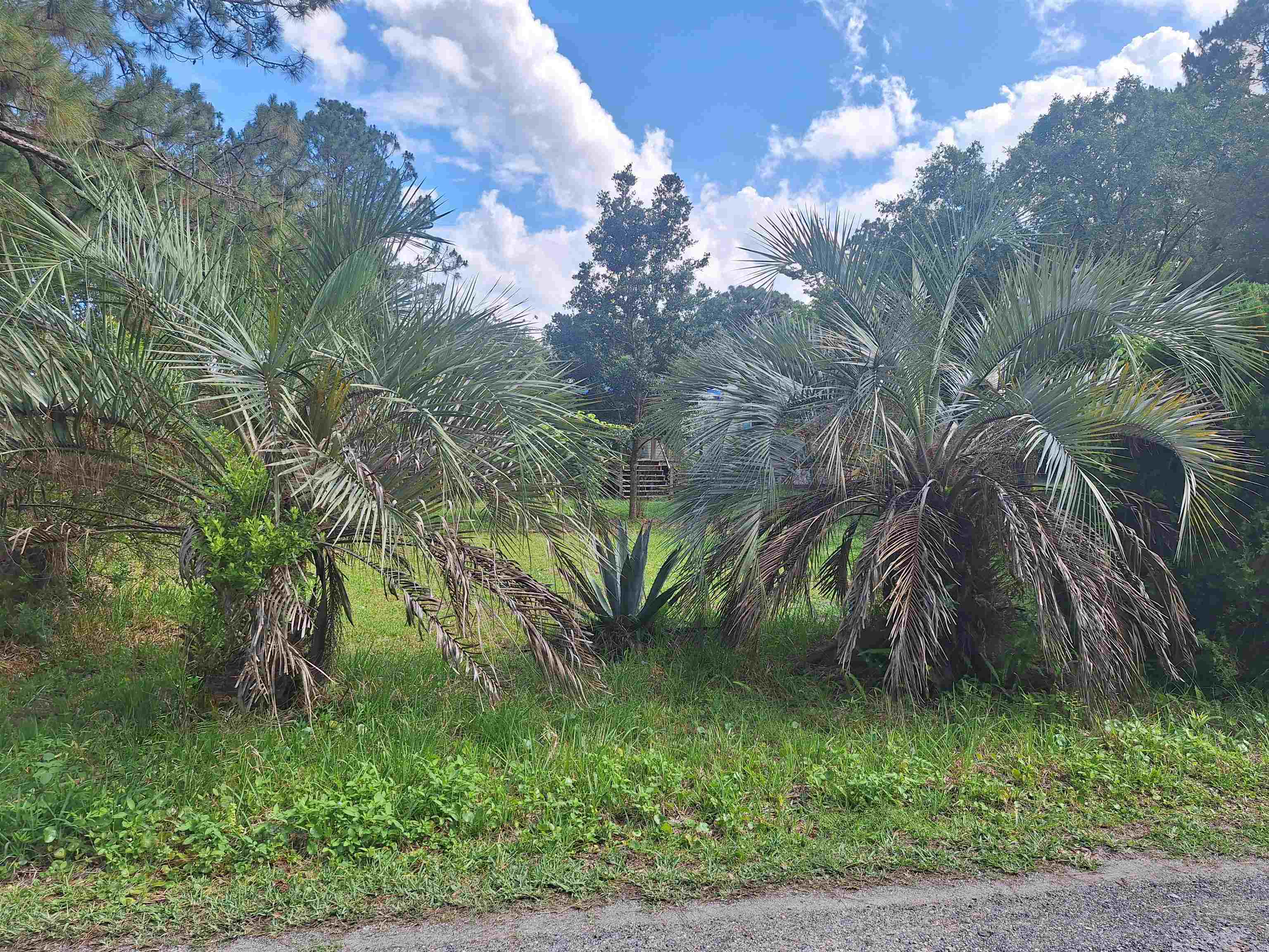 5610 Datil Pepper Road St. Augustine, FL 32086 - Photo 42 of 48