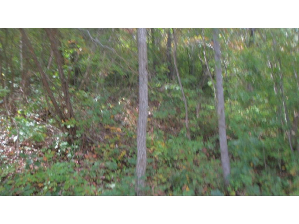 Tbd Ridge Heights Drive, Unit 40 Gray, TN 37615 - Photo 1 of 1 Photo 1