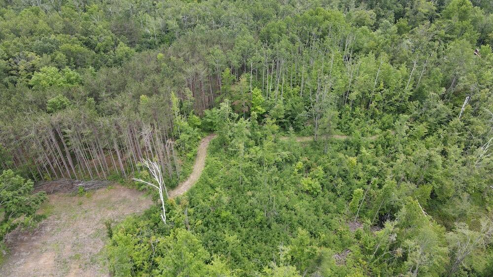 1692 North Galbraith Road Mio, MI 48647 - Photo 24 of 82 13(2)