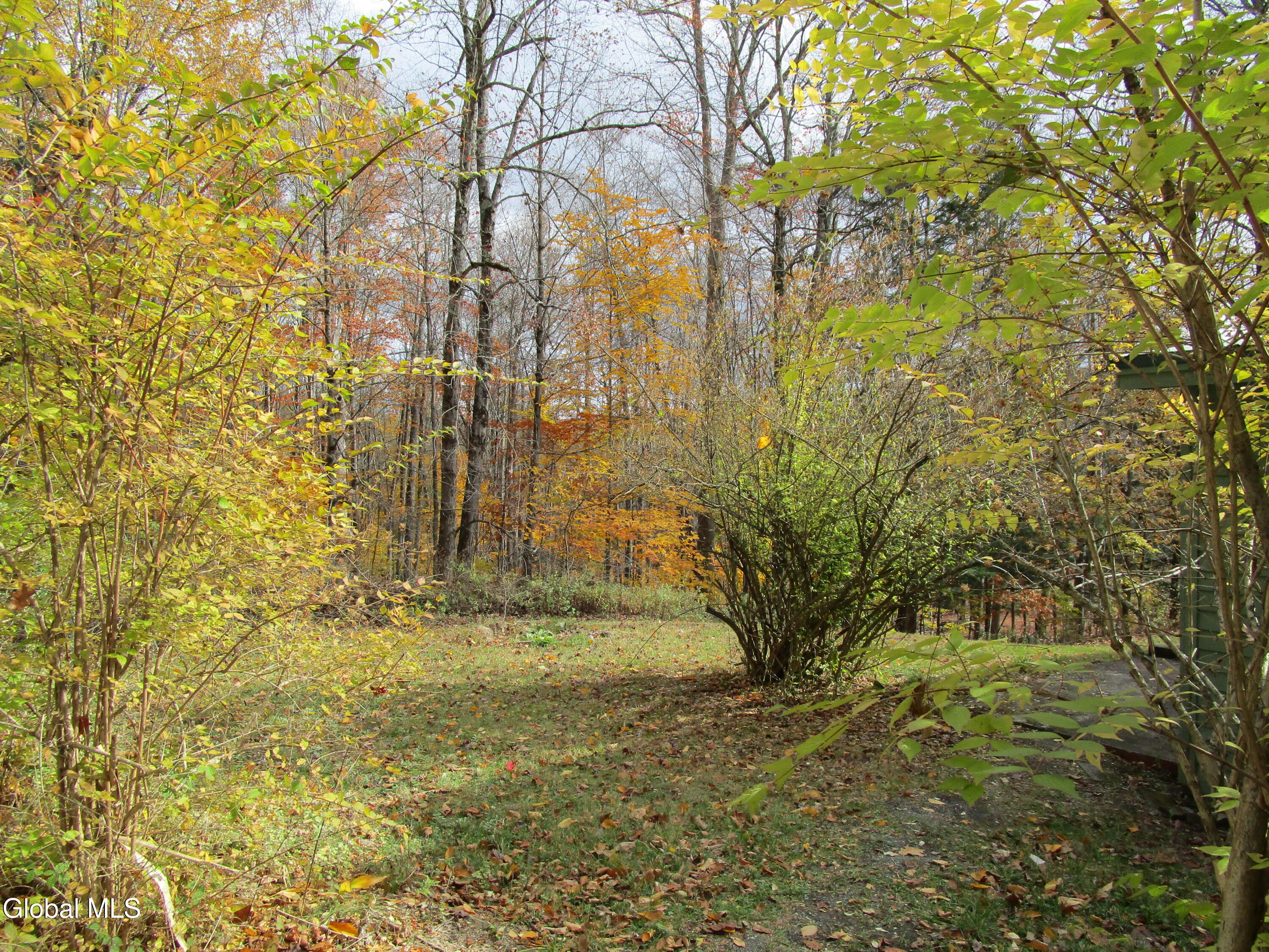 234 Toad Point Road Petersburgh, NY 12138 - Photo 19 of 20 IMG_0110