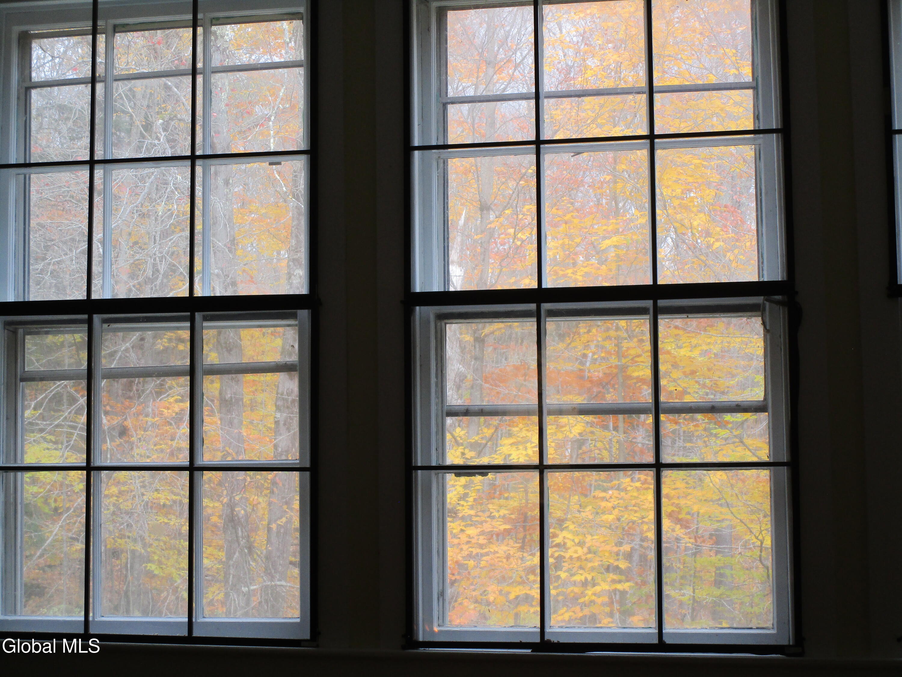 234 Toad Point Road Petersburgh, NY 12138 - Photo 10 of 20 IMG_0093