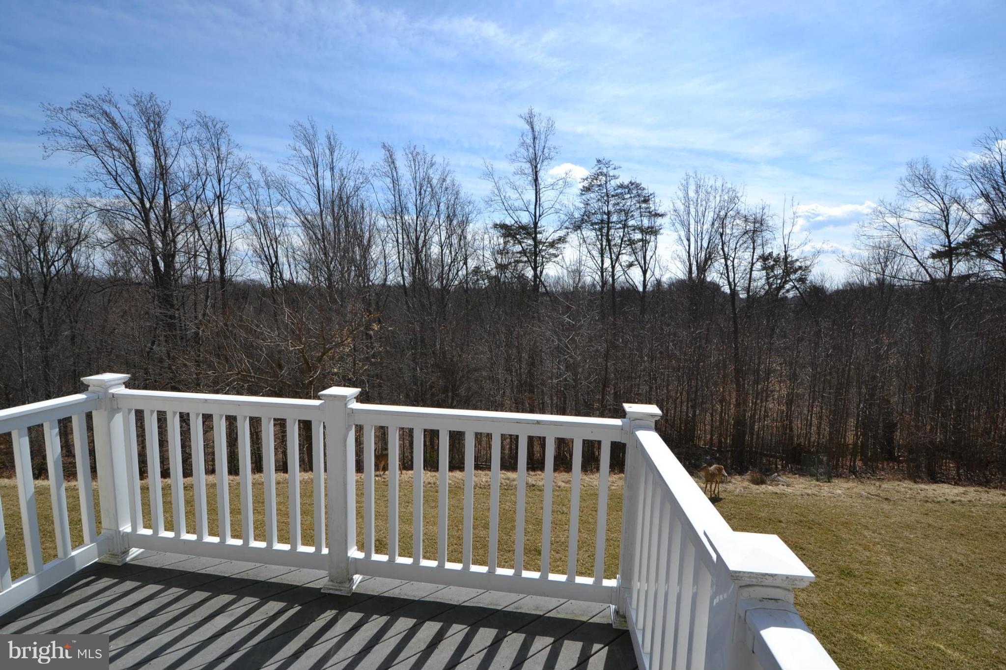 8335 Meadowsweet Road Pikesville, MD 21208 - Photo 22 of 24 Rear view