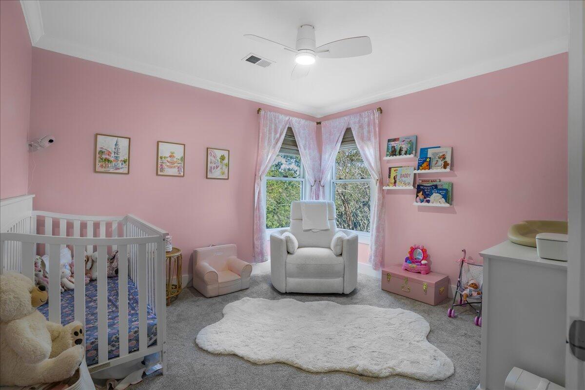 366 Stringer Alley Mount Pleasant, SC 29464 - Photo 34 of 75 33-DSC00752