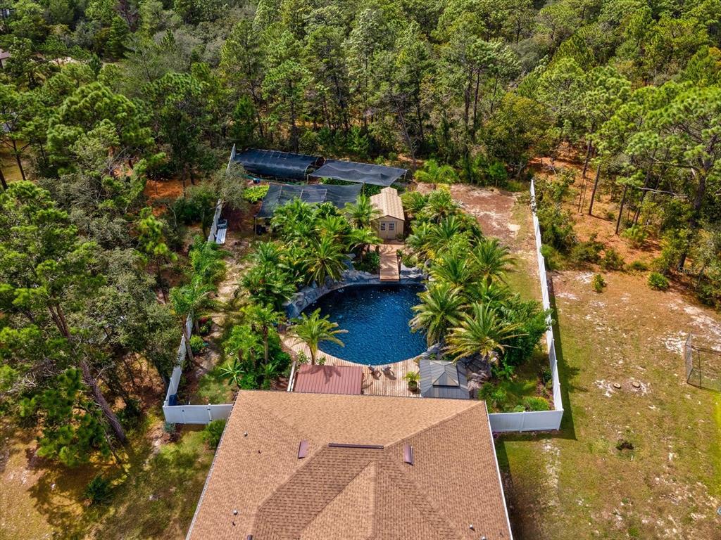 9027 Mavis Road Weeki Wachee, FL 34613 - Photo 40 of 42