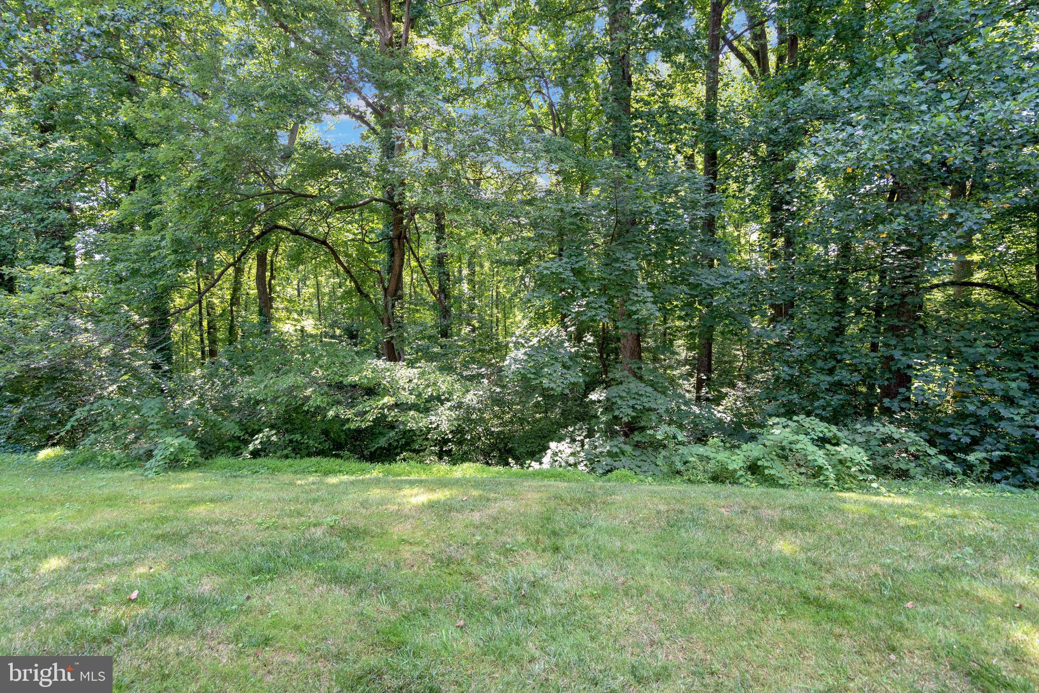 11609 Vantage Hill Road, Unit 1A Reston, VA 20190 - Photo 19 of 63 Nature Abounds