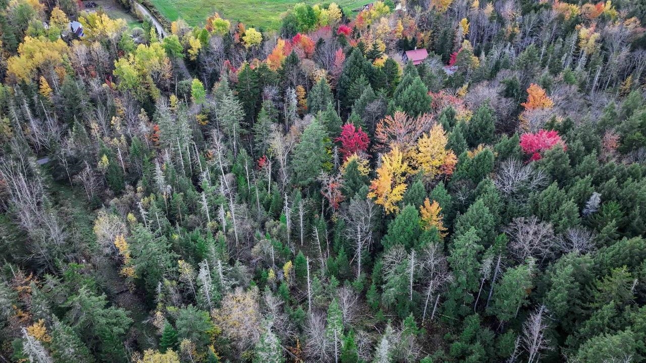1021 Woods Road Warren, VT 05674 - Photo 1 of 24