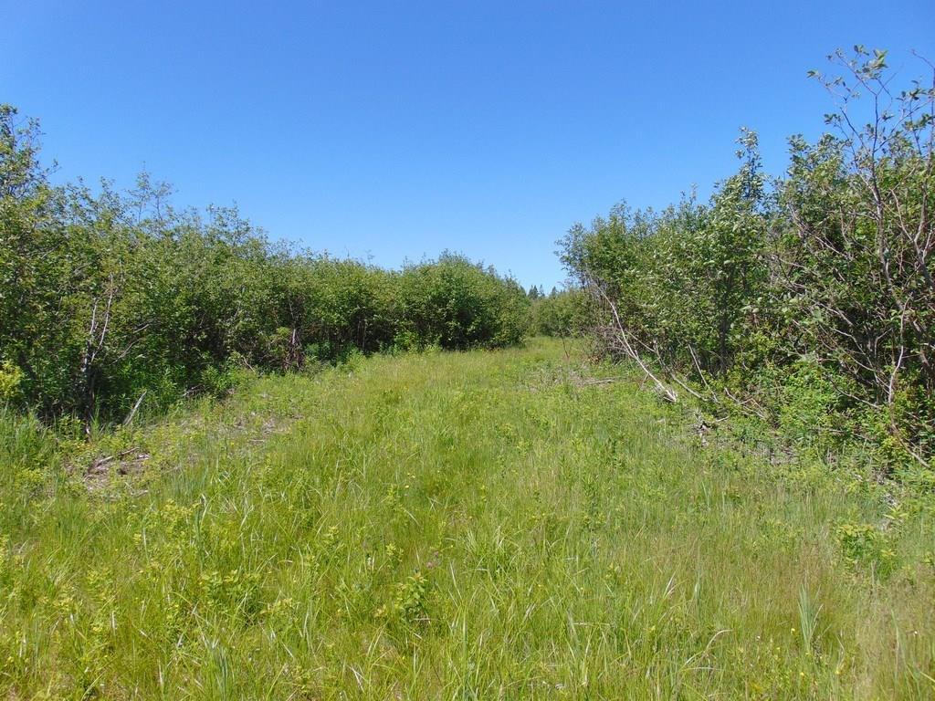 420 Basin Road Addison, ME 04606 - Photo 5 of 26 Follow me....these wonderful paths...