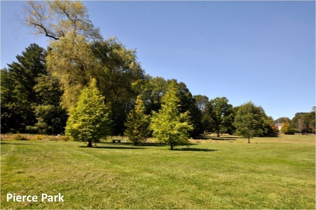 29 Lincoln Road Lincoln, MA 01773 - Photo 17 of 19 a view of yard with swimming pool