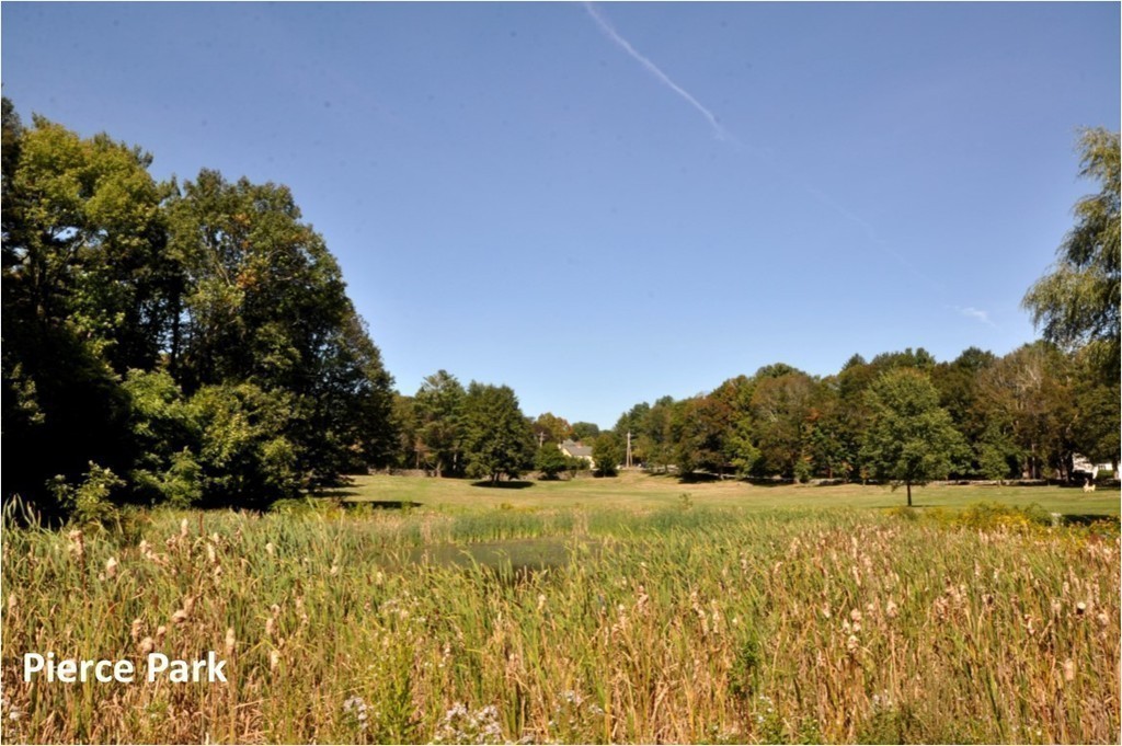 29 Lincoln Road Lincoln, MA 01773 - Photo 18 of 19 a view of yard with swimming pool and trees