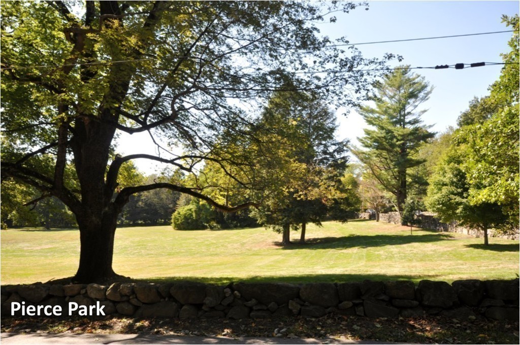 29 Lincoln Road Lincoln, MA 01773 - Photo 19 of 19 a view of yard with trees