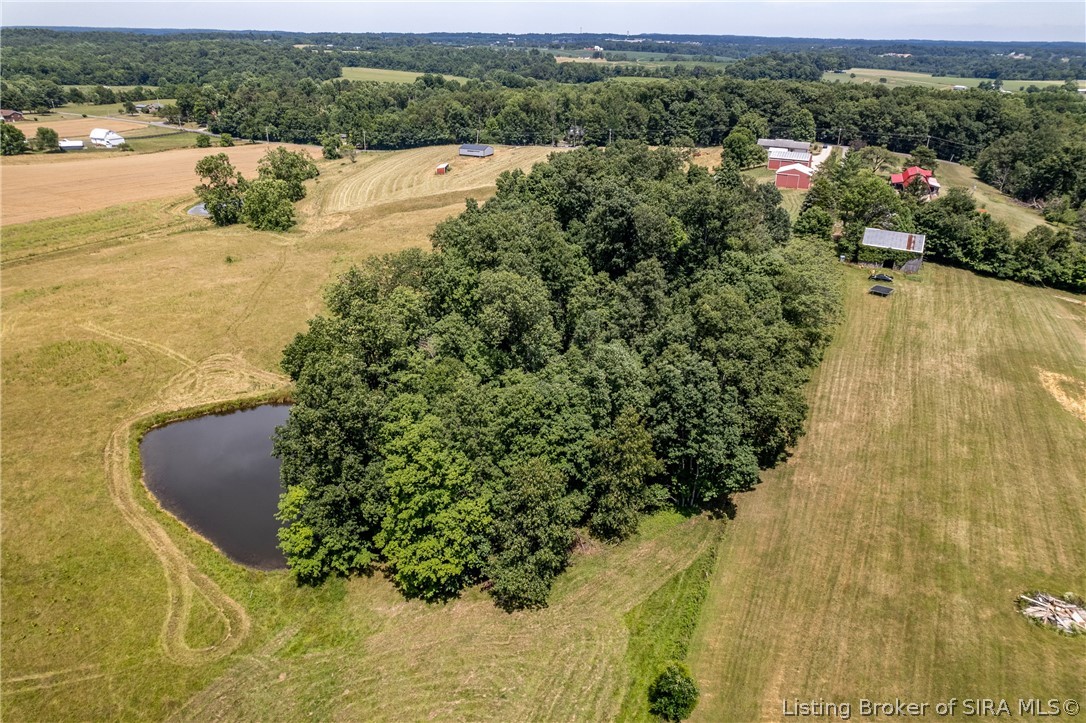8925 Tom Evans Road Greenville, IN 47124 - Photo 10 of 68 Gallery Image 10