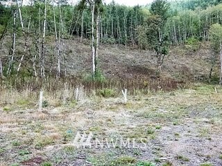 7030 Kalama River Road Kalama, WA 98625 - Photo 1 of 18 Gallery Image 1