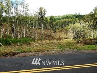 7030 Kalama River Road Kalama, WA 98625 - Photo 2 of 18 Gallery Image 2