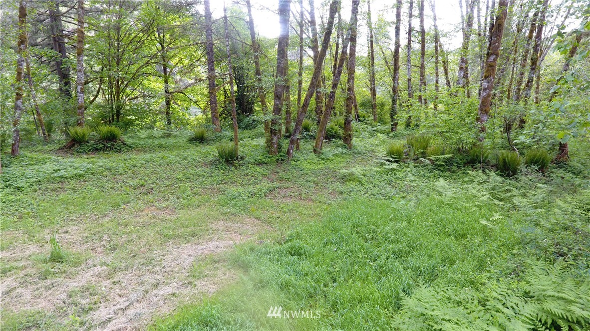 7030 Kalama River Road Kalama, WA 98625 - Photo 15 of 18 Gallery Image 15