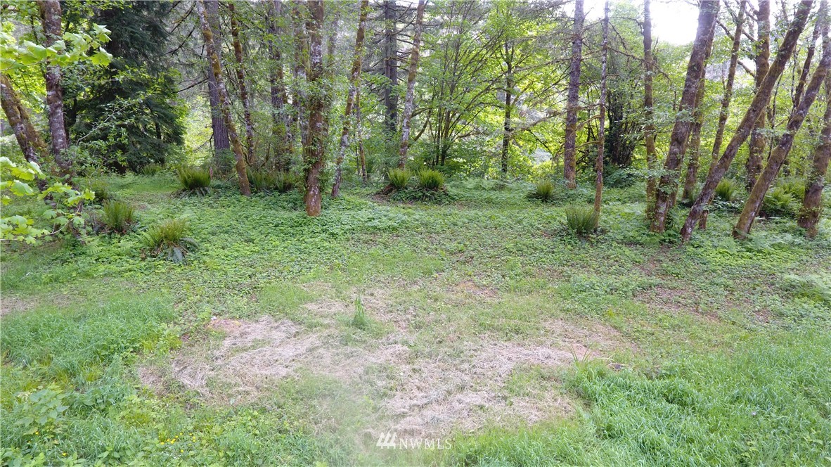 7030 Kalama River Road Kalama, WA 98625 - Photo 16 of 18 Gallery Image 16
