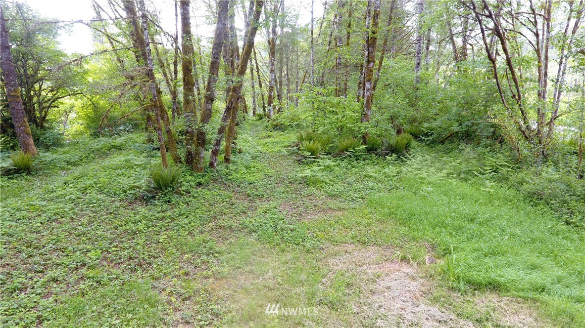 7030 Kalama River Road Kalama, WA 98625 - Photo 17 of 18 Gallery Image 17