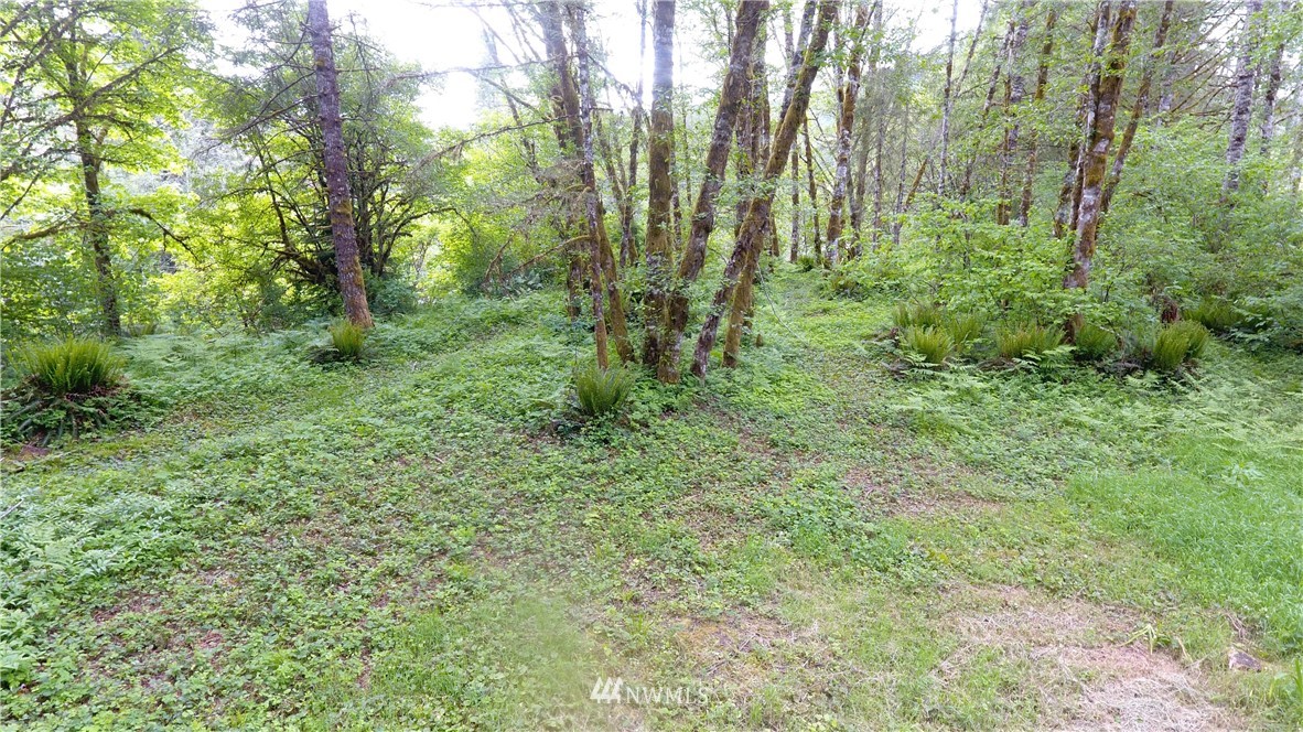7030 Kalama River Road Kalama, WA 98625 - Photo 18 of 18 Gallery Image 18