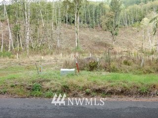 7030 Kalama River Road Kalama, WA 98625 - Photo 3 of 18 Gallery Image 3
