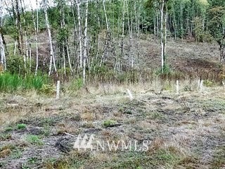 7030 Kalama River Road Kalama, WA 98625 - Photo 4 of 18 Gallery Image 4