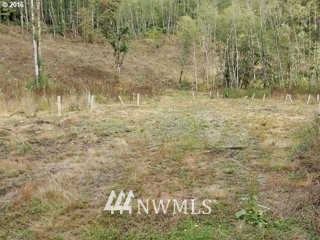 7030 Kalama River Road Kalama, WA 98625 - Photo 5 of 18 Gallery Image 5