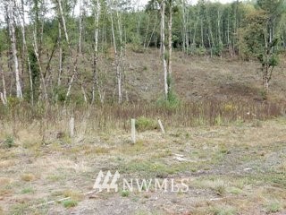 7030 Kalama River Road Kalama, WA 98625 - Photo 6 of 18 Gallery Image 6