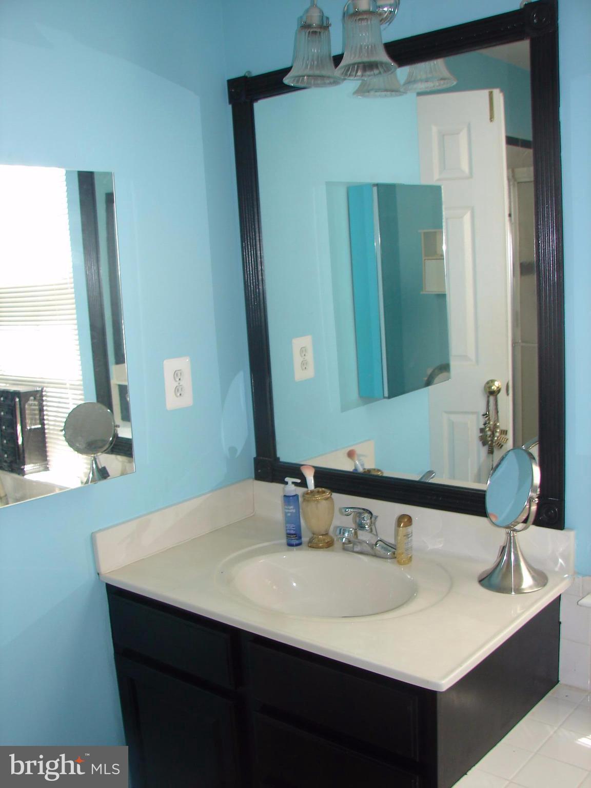613 Kings Grant Road Culpeper, VA 22701 - Photo 20 of 30 Bath (Master)