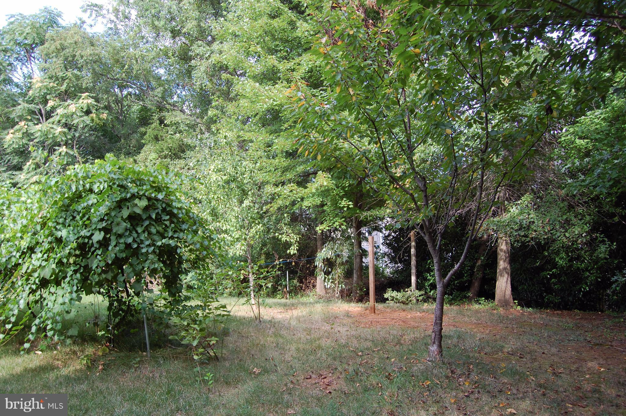 613 Kings Grant Road Culpeper, VA 22701 - Photo 29 of 30 Exterior (Rear)
