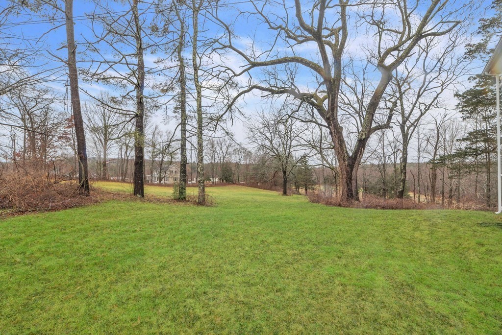 1385 Lyon Street Ludlow, MA 01056 - Photo 2 of 35 a view of yard with trees