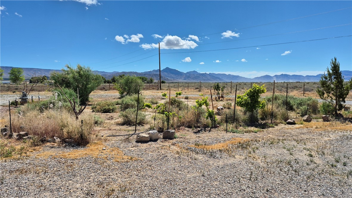 730 South Miami Street Sandy Valley, NV 89019 - Photo 29 of 33