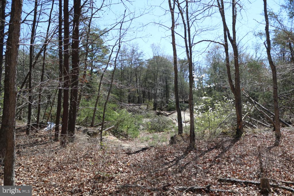 351 Shaws Mill Road Cedarville, NJ 08311 - Photo 15 of 84