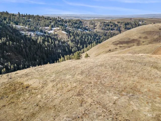 $315,000 | Tbd Old Culdesac Road, Culdesac, ID 83524