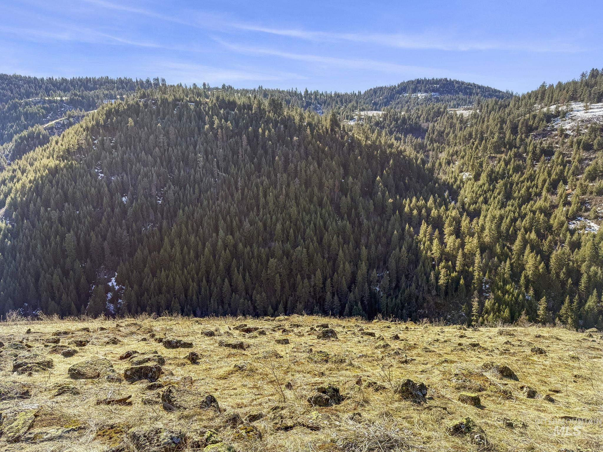 Tbd Old Culdesac Road Culdesac, ID 83524 - Photo 22 of 38