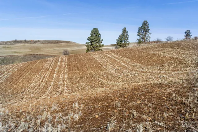 $315,000 | Tbd Old Culdesac Road, Culdesac, ID 83524