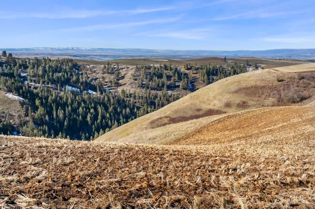 $315,000 | Tbd Old Culdesac Road, Culdesac, ID 83524