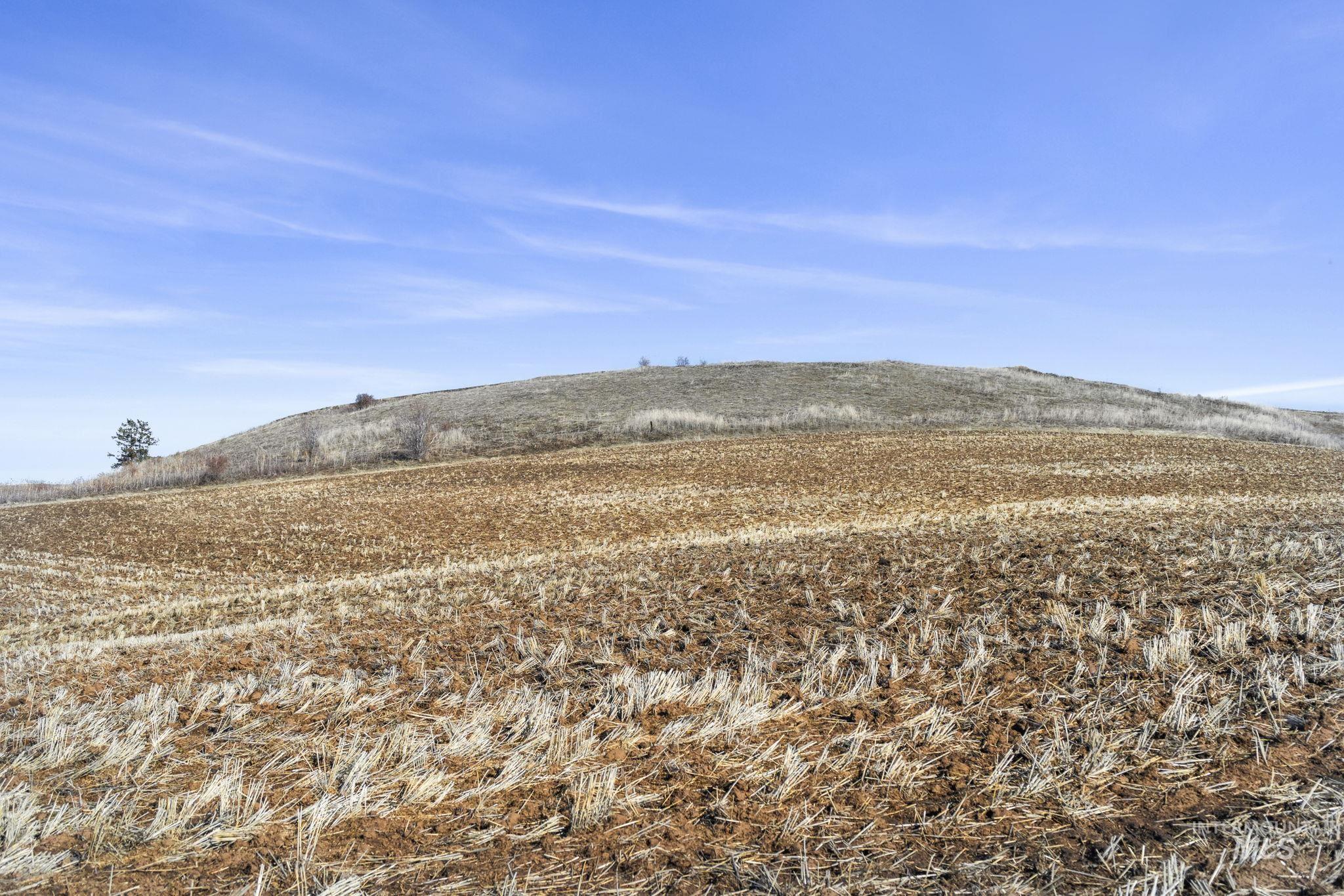 Tbd Old Culdesac Road Culdesac, ID 83524 - Photo 31 of 38