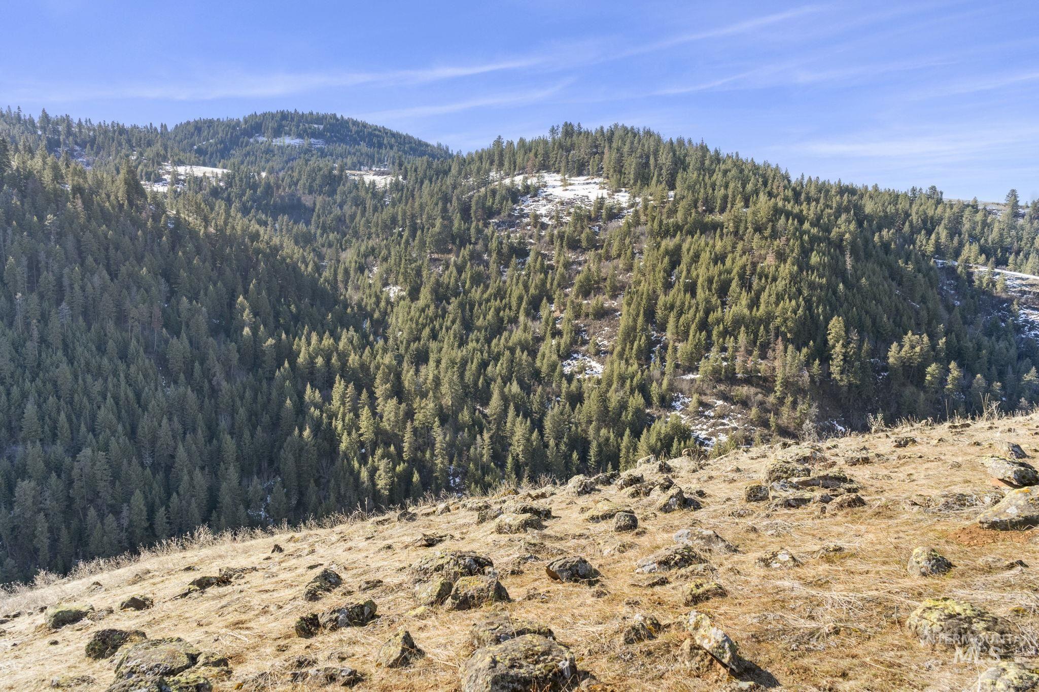 Tbd Old Culdesac Road Culdesac, ID 83524 - Photo 33 of 38