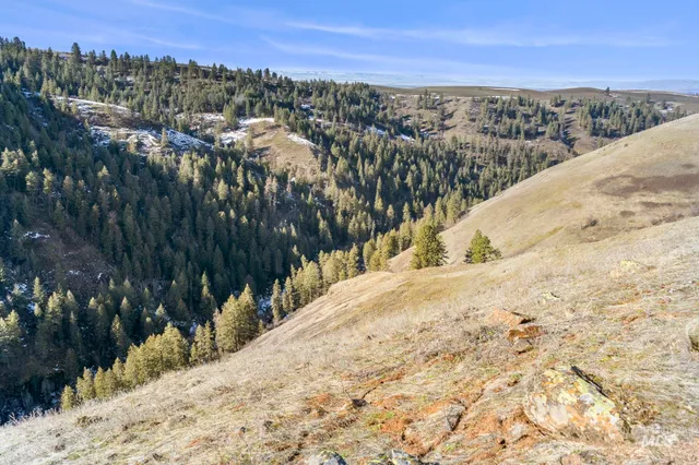 $315,000 | Tbd Old Culdesac Road, Culdesac, ID 83524